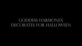 Evil kitty role play