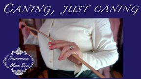 Caning, just caning