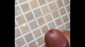 IMG 0998