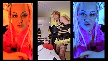 Jerk off to the Gay Bumble bee everyday and feel like a Homosexual By Goddess Lana