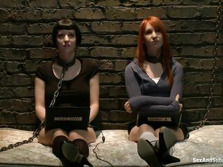 Calico and Cherry Torn's Live Feed