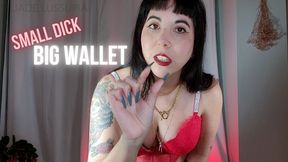 Small Dick, Big Wallet