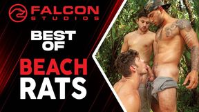 Hardcore Beach Bang - Wet & Wild Fucking - Falcon Studios