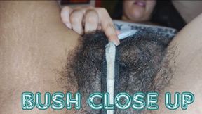 Worshipping my wild bush close up