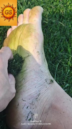 Touching Grass: Barefoot Grounding at the Park