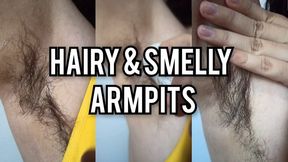 Armpits fetish