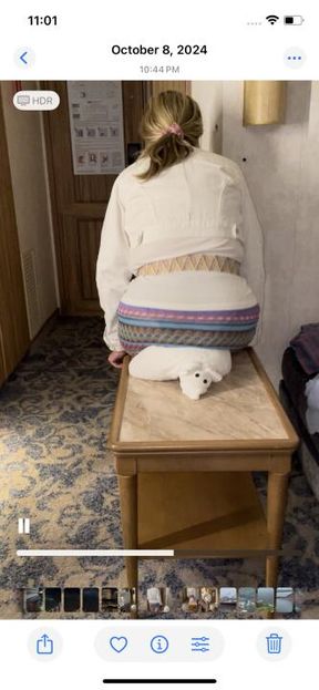 Animal Towel Crush on a Cruise