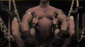 Master Plumbs His Pig In The Sling...As Seen By The Pig