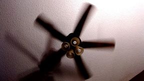 Office Ceiling Fan