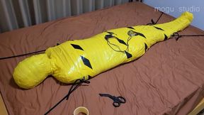 Yellow Mummification Girl Torment