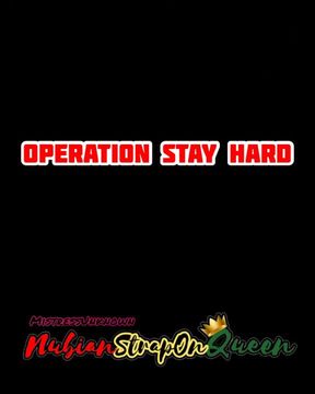 Operation Stay Hard - Bi Bull sucking