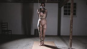 Breaking Elli Part 2: The Breast Hang
