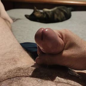 Pov big cock cum