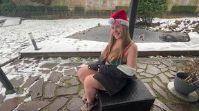 santa s little helper