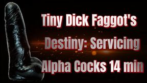 Tiny Dick Faggot's Destiny: Servicing Alpha Cocks 14 min