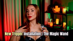 New Trigger Installation | The Magic Wand
