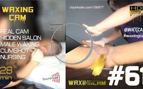 61 Waxing Male (full)