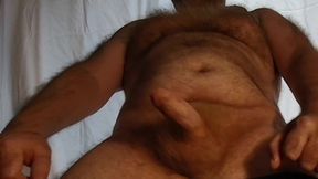 British Hairy Daddy Bear Wank showing off my Hairy Belly and Chest