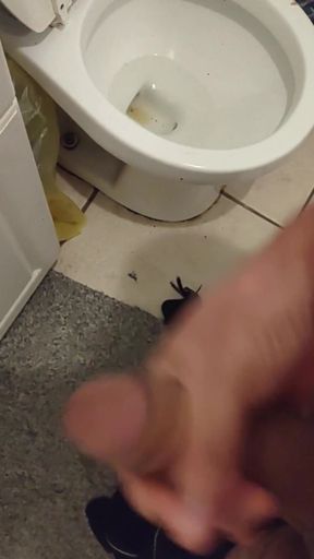 Cumming in the Bathroom