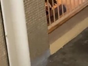 當眾打手搶