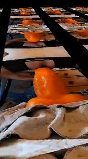 Orge XXL Goliath XXL Goliath XXXXL from MrHankeytoys