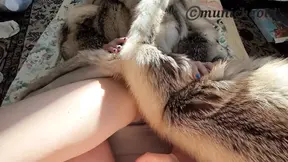 Amateur wife fucks in new fur coat - hairy pussy cumming