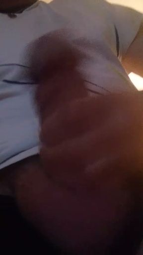VID-20260406-WA0000.mp4