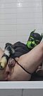 Pup gaped with dildo