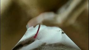 Woman Fuck Your Self with Multiple Different Dildos, Lush in
