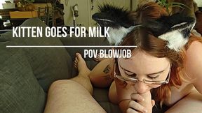 Kitten goes for milk