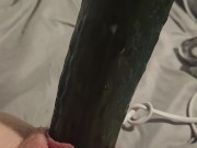 Making my noisy hole queef and cream with a cucumber