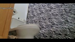 Bathroom Diary One WMV