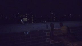 delilah grey got fucked hard on a rooftop in the projects