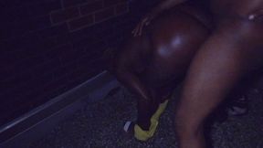 delilah grey got fucked hard on a rooftop in the projects