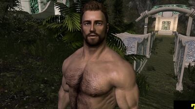 Yumeko's straight fantasy: Daddy's bear, group sex, and seduction in the Palace of Men