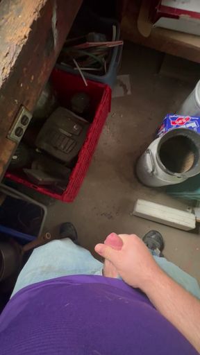 Quick cum shot session