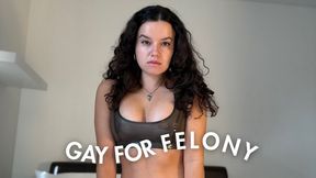 Gay For Felony