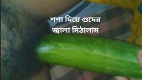 Naughty&#x1F608; Bangladesh beauty gets off on giant cucumber's throbbing presence.