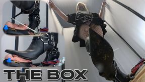 CC - The box , chewing gum and muddy boots