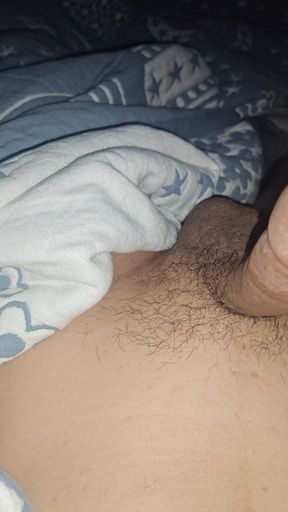 Quick cum with hard early morning wood