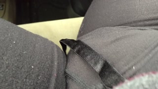 Cumming at the park