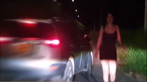 Martina Smith In Dress Up As And A Stranger Pays Her For Fucking Into His Car 8 Min