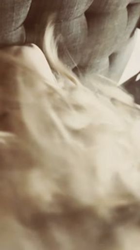 Meow, time to this kitty