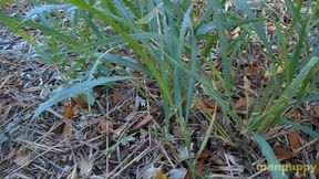 Destroy The Evidence in the Backyard - Aiden Valentine - Richard Lennox - Manpuppy - MP4 1080 Remaster