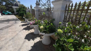 Un couple chaud la baise fort dans son cul serré