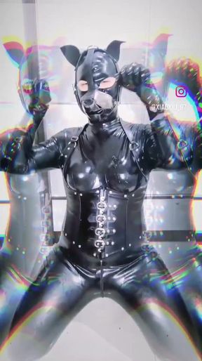 Latex doggy dance