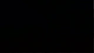 Joyous Reunion Part 3 - Tails of Azeroth Series