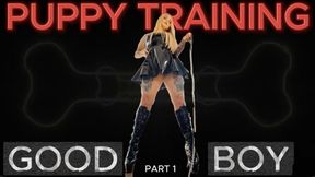PUPPY TRAINING - GOOD BOY MINDFUCK