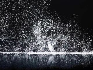 Alina Takes Her Bet to the Next Level