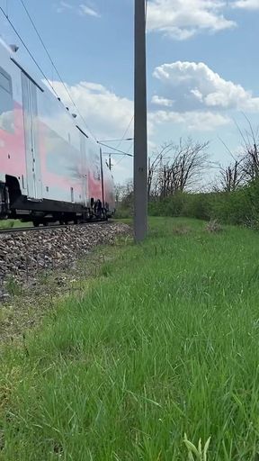 Dick flash train, risky masturbation   Clip 2